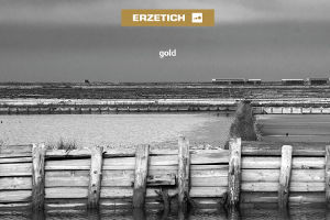 Erzetich CD Gold Cover