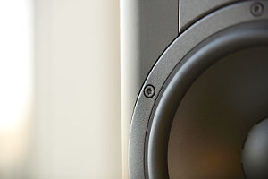 dynaudio contour woofer